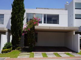 3 Bedroom House for sale in Tumbaco, Quito, Tumbaco