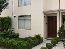 3 Schlafzimmer Wohnung zu verkaufen in Cuajimalpa De Morelos, Mexico City, Cuajimalpa De Morelos