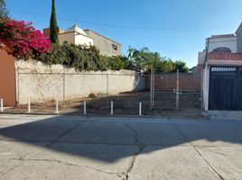  토지을(를) Irapuato, 구아나후토에서 판매합니다., Irapuato