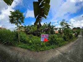  Land for sale in Cavite, Calabarzon, Silang, Cavite