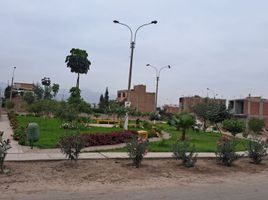 在Lima出售的 土地, Carabayllo, Lima, Lima