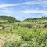  Land for sale in Tlayacapan, Morelos, Tlayacapan