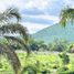  Land for sale in Tlayacapan, Morelos, Tlayacapan