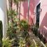 3 Schlafzimmer Haus zu verkaufen in Merida, Yucatan, Merida, Yucatan