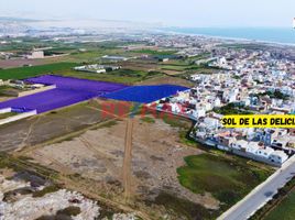  Terreno (Parcela) en venta en Trujillo, La Libertad, Moche, Trujillo