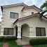 5 Bedroom Villa for rent in Samborondon, Guayas, Samborondon, Samborondon