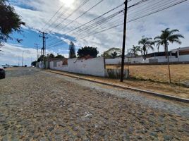  Terreno (Parcela) en alquiler en Corregidora, Querétaro, Corregidora