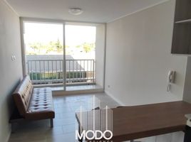 1 Bedroom Apartment for rent in Cordillera, Santiago, Puente Alto, Cordillera