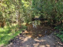  Terreno (Parcela) en venta en Chile, Los Muermos, Llanquihue, Los Lagos, Chile