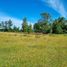  Terreno (Parcela) en venta en Chile, Los Muermos, Llanquihue, Los Lagos, Chile