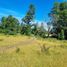  Terreno (Parcela) en venta en Chile, Los Muermos, Llanquihue, Los Lagos, Chile