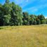  Land for sale in Los Lagos, Los Muermos, Llanquihue, Los Lagos