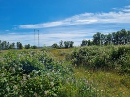 Land for sale in Los Lagos, Los Muermos, Llanquihue, Los Lagos