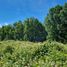  Land for sale in Los Lagos, Los Muermos, Llanquihue, Los Lagos