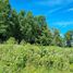  Land for sale in Los Lagos, Los Muermos, Llanquihue, Los Lagos