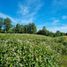  Land for sale in Los Lagos, Los Muermos, Llanquihue, Los Lagos