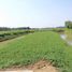  Land for sale in Bayambang, Ilocos, Bayambang