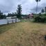  Terrain for sale in Bacong, Negros Oriental, Bacong