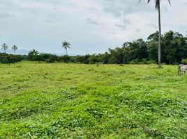  Grundstück zu verkaufen in Leyte, Eastern Visayas, Burauen, Leyte