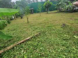  Terrain for sale in Bacong, Negros Oriental, Bacong