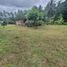  Land for sale in Bacong, Negros Oriental, Bacong