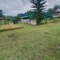  Land for sale in Bacong, Negros Oriental, Bacong