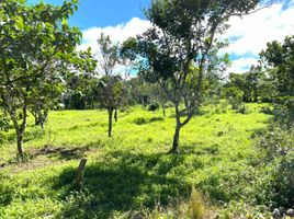  Land for sale in Cavite, Calabarzon, Silang, Cavite