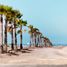  Land for sale in Tijuana, Baja California, Tijuana
