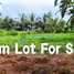  Land for sale in Ormoc City, Eastern Visayas, Ormoc City, Leyte