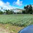  Land for sale in Cavite, Calabarzon, Silang, Cavite