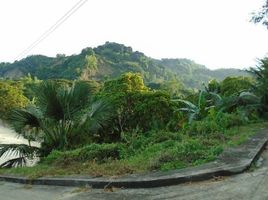  Grundstück zu verkaufen in Cebu City, Central Visayas, Cebu City, Cebu, Central Visayas, Philippinen