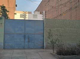  Grundstück zu verkaufen in Los Olivos, Lima, Los Olivos, Lima, Lima, Peru
