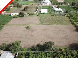  Land for sale in Cevallos, Tungurahua, Cevallos, Cevallos