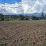  Land for sale in Tungurahua, Cevallos, Cevallos, Tungurahua