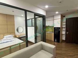 1 Phòng ngủ Chung cư for rent in Mân Thái, Sơn Trà, Mân Thái