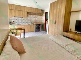 1 chambre Appartement for rent in Thach Thang, Hai Chau, Thach Thang