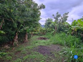  Terrain for sale in Catamayo La Toma, Catamayo, Catamayo La Toma