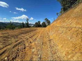 Terrain à vendre à La Ceja, Antioquia, La Ceja, Antioquia