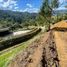 Terrain à vendre à La Ceja, Antioquia, La Ceja, Antioquia