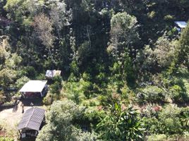  Terreno (Parcela) en venta en Xico, Veracruz, Xico