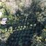  Terreno (Parcela) en venta en Xico, Veracruz, Xico