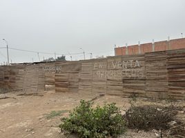 Terrain à vendre à Carabayllo, Lima, Carabayllo, Lima, Lima, Pérou