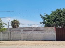  Terreno (Parcela) en venta en La Victoria, Chiclayo, La Victoria