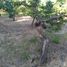  Land for sale in Nuble, Chillan, Diguillin, Nuble