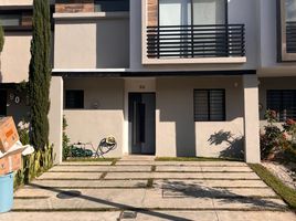 Appartement 3 chambre à vendre à Zapopan, Jalisco, Zapopan, Jalisco