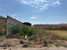  Terreno (Parcela) en venta en Salamanca, Guanajuato, Salamanca