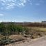  Terreno (Parcela) en venta en Salamanca, Guanajuato, Salamanca