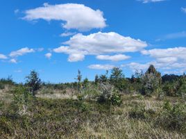  Terreno (Parcela) en venta en Chile, Quemchi, Chiloé, Los Lagos, Chile