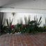 3 Schlafzimmer Haus zu vermieten in Cuernavaca, Morelos, Cuernavaca