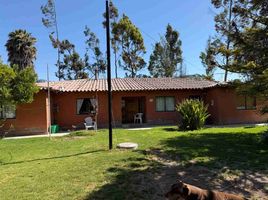 6 Bedroom Villa for rent in Chile, Copiapo, Copiapo, Atacama, Chile